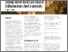 [thumbnail of bridging_the_gap_teaching_and_studying_ancient_history_and_classical_civilisation_from_school_to_university.pdf]