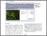 [thumbnail of Observation of a frustrated nematic phase in amphiphilic disc like complexes of gold III containing hydrocarbon and semiperfluorocarbon terminal]