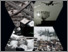 [thumbnail of Engineering-X-Safer-Complex-Systems-An-Initial-Framework-report]