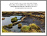 [thumbnail of White Paper on the requirements for upscaled peatland restoration in upland England February 2025 v2.pdf]