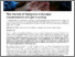 [thumbnail of The Market of Religions in Europe_ Governments still get it wrong _ Istanbul Bilgi University PRIME Youth Website]