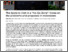 [thumbnail of The Spots to Visit in a “No-Go-Zone”_ Notes on the problems and proposals in Molenbeek _ Istanbul Bilgi University PRIME Youth Website]
