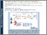 [thumbnail of The Journal of Physiology - 2025 - Byford - Endothelial‐to‐mesenchymal transition in the fetoplacental macrovasculature and.pdf]
