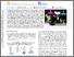 [thumbnail of Using Triazabutadienes as a Protected Source of Diazonium Cations to Facilitate Electrografting to a Variety of Conductive Surfaces]
