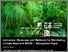 [thumbnail of 132_20250422_cr-wash-discussion-paper.pdf]