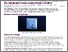[thumbnail of UoY Non-Commissioned Exempt Accommodation 1-Pager with DOI]