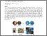 [thumbnail of s12649-025-02926-9]