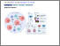 [thumbnail of 182040.1-20250507163238-covered-e0fd13ba177f913fd3156f593ead4cfd]