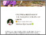[thumbnail of VotR Blog Cultural heritage of the indigenous people of Jakun.pdf]