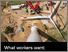 [thumbnail of What workers want_Climate Evidence Unit_June 2025 Copy.pdf]