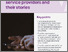 [thumbnail of domestic-abuse-service-providers-and-their-stories-report.pdf]