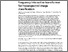 [thumbnail of Spectral-spatial wave and frequency interactive transformer for hyperspectral image classification.pdf]