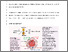 [thumbnail of Beech 2025 PIEZOvasc author-accepted 14Aug25.pdf]