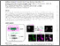 [thumbnail of A non-coding role for trypanosome VSG transcripts in allelic exclusion]