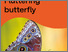 [thumbnail of Fluttering Butterflies - BC Maker Kit.pdf]