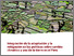 [thumbnail of PramovaWP189_MAPeru.pdf]