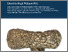 [thumbnail of 9780854313112.pdf]