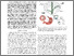 [thumbnail of ROBOSOFT_Hybrid_Growing_Robot.pdf]