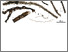 [thumbnail of ezaz-nikpay-et-al_palaios_2026_Figure-2.pdf]