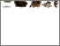 [thumbnail of ezaz-nikpay-et-al_palaios_2026_Figure-4.pdf]