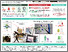 [thumbnail of Curating novel datasets for the development of AI in laparoscopic surgical education worldwide.pdf]