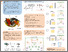 [thumbnail of Nervous_Robot_Poster Biologically Inspired Spiking Neural Network for Autonomous Robot Control]