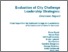 [thumbnail of City Challenge Leadership Strategies: Overview]